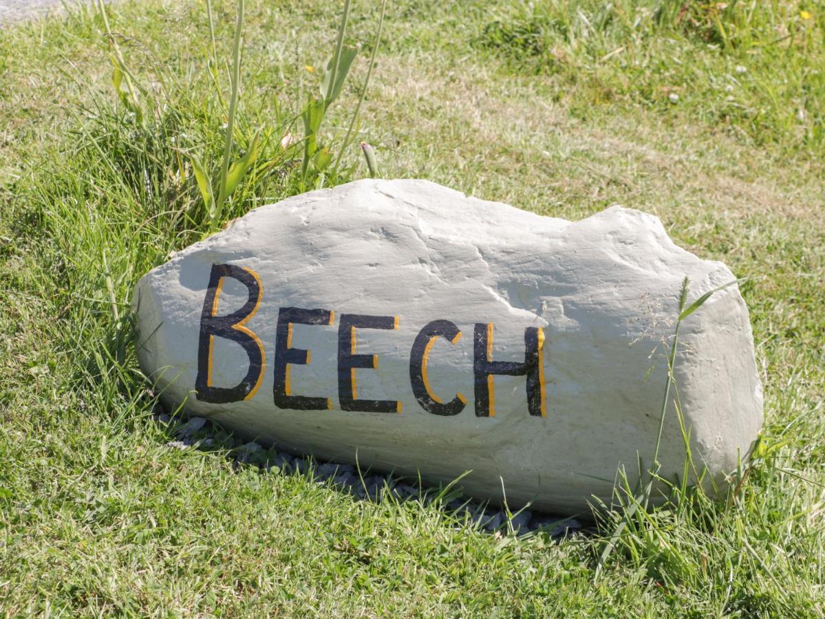 Beech Villa อัลเวอร์สตัน ภายนอก รูปภาพ